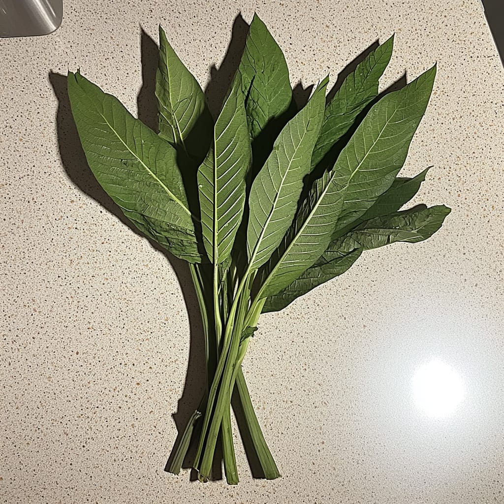 bitterleaves ozoza